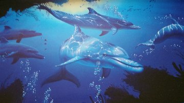 Five Dolphins 1997 Limited Edition Print - Christian Riese Lassen Five Dolphins 1997 Limited Edition Print - Christian Riese Lassen