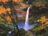 Secret Falls 2009 Embellished on Canvas Limited Edition Print by Hong Leung - 1