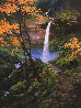 Secret Falls 2009 Embellished on Canvas Limited Edition Print by Hong Leung - 0