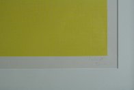 Grids And Color, Plate #36 1979 Limited Edition Print by Sol LeWitt - 5 Grids And Color, Plate #36 1979 Limited Edition Print by Sol LeWitt - 5