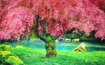 Tree of Dreams (Washington State) Panorama - Peter Lik Tree of Dreams (Washington State) Panorama - Peter Lik
