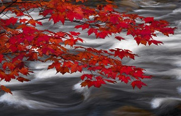 River of Zen (Telluride, Colorado)   Panorama - Peter Lik