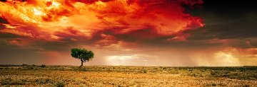 Dreamland (Innamincka, South Australia) 1.5M Huge Panorama - Peter Lik Dreamland (Innamincka, South Australia) 1.5M Huge Panorama - Peter Lik