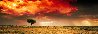 Dreamland 1.5M - Huge - Innamincka, South Australia Panorama by Peter Lik - 0