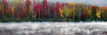 Misty River 2 M Huge Panorama - Peter Lik Misty River 2 M Huge Panorama - Peter Lik