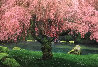 Tree of Dreams 1M  - Washington Panorama by Peter Lik - 2