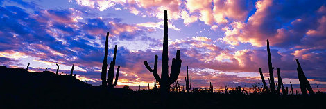 Night Moods 1.5M - Huge 76X36 frame size - Saguaro NP, Arizona Panorama - Peter Lik