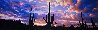 Night Moods 1.5M - Huge 76X36 frame size - Saguaro NP, Arizona Panorama by Peter Lik - 3