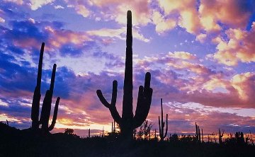 Night Moods Panorama - Peter Lik Night Moods Panorama - Peter Lik