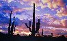 Night Moods 1.5M - Huge 76X36 frame size - Saguaro NP, Arizona Panorama by Peter Lik - 2