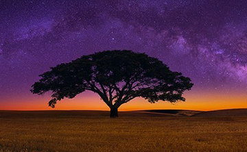 Celestial Dreams Panorama - Peter Lik Celestial Dreams Panorama - Peter Lik