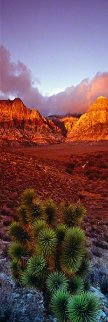 King of the Desert - Epic Size Panorama - Peter Lik King of the Desert - Epic Size Panorama - Peter Lik