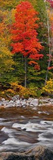 Monarch Panorama - Peter Lik Monarch Panorama - Peter Lik