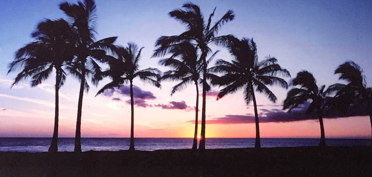 Waikiki Palms, Hawaii Panorama by Peter Lik