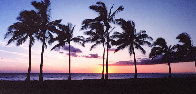 Waikiki Palms, Hawaii Panorama by Peter Lik - 0 Waikiki Palms, Hawaii Panorama by Peter Lik - 0