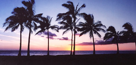 Waikiki Palms, Hawaii Panorama - Peter Lik