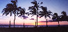 Waikiki Palms, Hawaii Panorama by Peter Lik - 0
