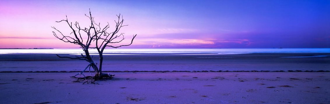 Solitude   (Cape York, Queensland) Huge Panorama by Peter Lik
