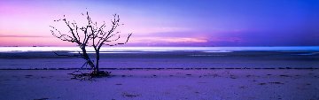 Solitude (Cape York, Queensland) Panorama - Peter Lik Solitude (Cape York, Queensland) Panorama - Peter Lik