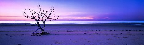Solitude   (Cape York, Queensland) Huge Panorama - Peter Lik