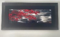 River of Zen 1.5M Huge Panorama by Peter Lik - 1 River of Zen 1.5M Huge Panorama by Peter Lik - 1