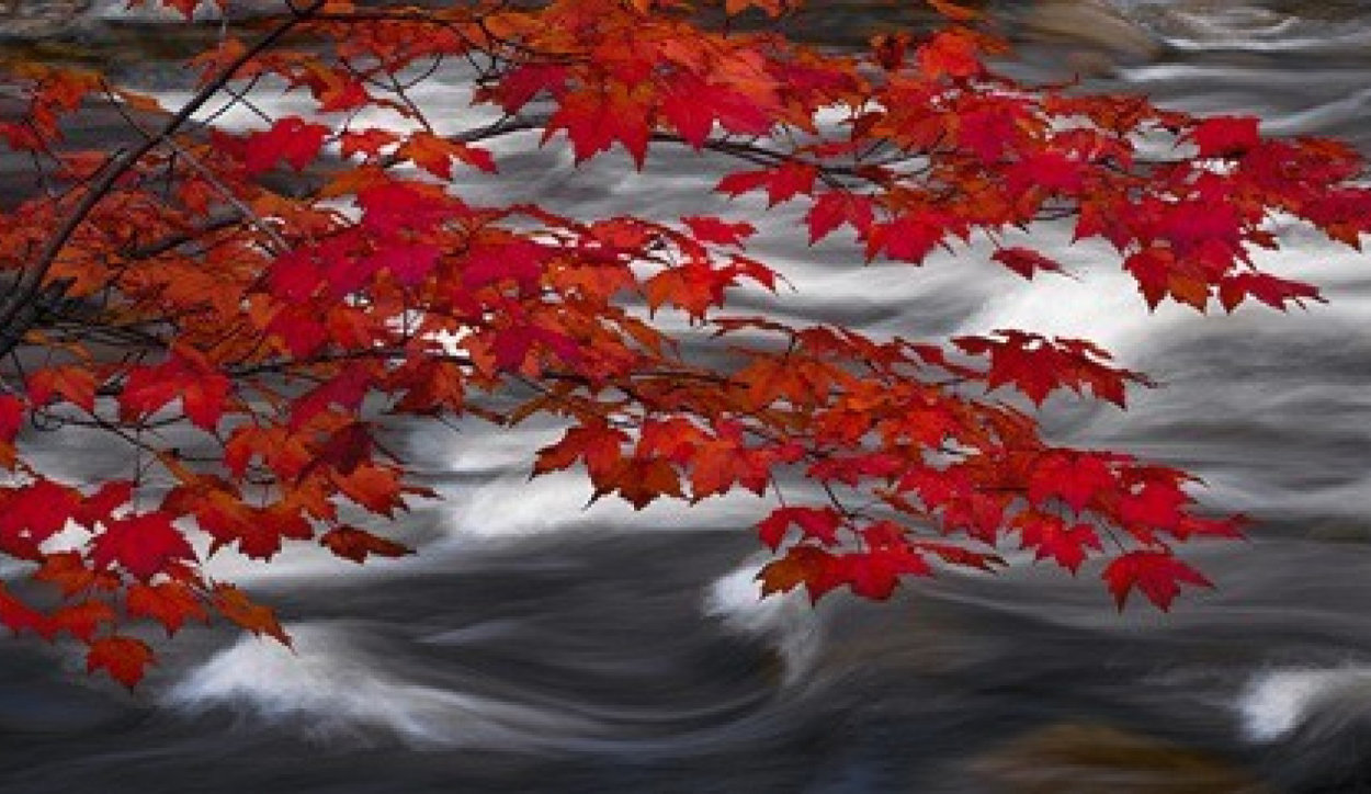 River of Zen 1.5M Huge Panorama by Peter Lik River of Zen 1.5M Huge Panorama by Peter Lik