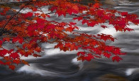 River of Zen 1.5M Huge Panorama by Peter Lik - 1