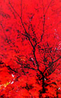 Zen (Ogden Valley Utah) Panorama - Peter Lik Zen (Ogden Valley Utah) Panorama - Peter Lik