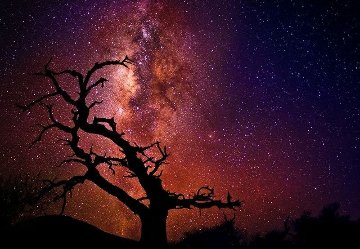 Tree of the Universe (Mauna Kea, Big Island, Hawaii) Panorama - Peter Lik Tree of the Universe (Mauna Kea, Big Island, Hawaii) Panorama - Peter Lik