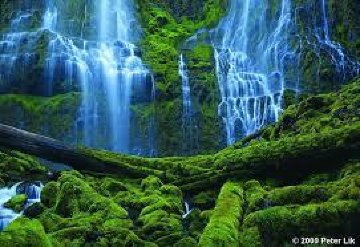Pristine (Bend, Oregon) Panorama - Peter Lik