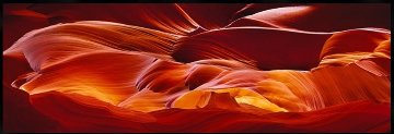 Crimson Tides 1.5M Huge - Cigar Leaf Frame Panorama - Peter Lik