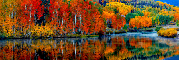 Misty Morning 1.5M Huge - Colorado Panorama - Peter Lik