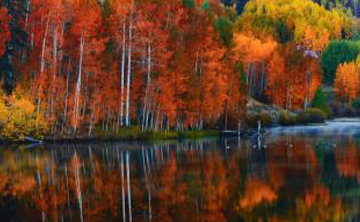 Misty Morning Panorama - Peter Lik Misty Morning Panorama - Peter Lik