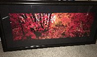 Wonderland 1.5M Huge Panorama by Peter Lik - 3 Wonderland 1.5M Huge Panorama by Peter Lik - 3