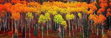 Picturesque 1M Huge - Cigar Leaf Frame Panorama - Peter Lik Picturesque 1M Huge - Cigar Leaf Frame Panorama - Peter Lik
