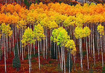 Picturesque Panorama - Peter Lik Picturesque Panorama - Peter Lik