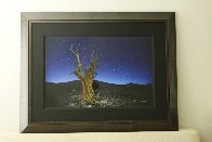 Starry Night Panorama by Peter Lik - 1 Starry Night Panorama by Peter Lik - 1