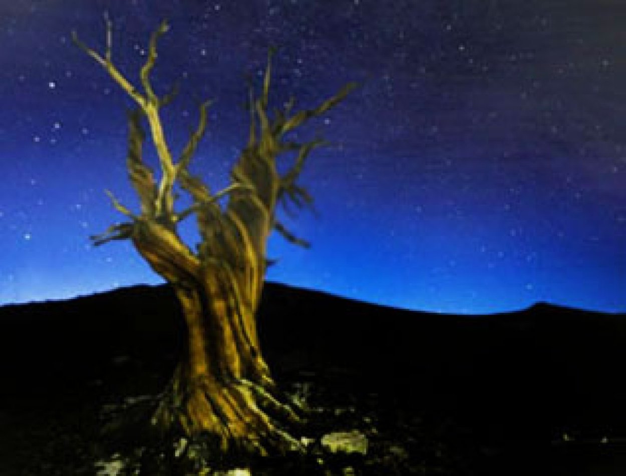 Starry Night Panorama by Peter Lik Starry Night Panorama by Peter Lik