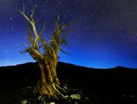 Starry Night Panorama by Peter Lik - 0 Starry Night Panorama by Peter Lik - 0