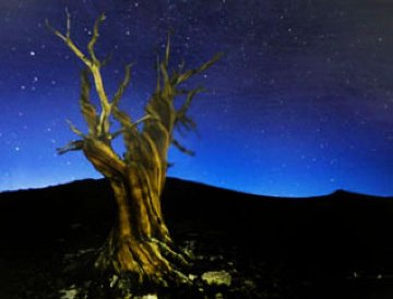 Starry Night Panorama - Peter Lik Starry Night Panorama - Peter Lik