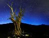 Starry Night Panorama by Peter Lik - 0