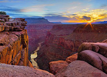 peter lik tree of the universe for sale peter lik tree of the universe for sale