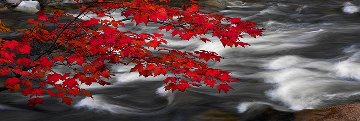River of Zen (Telluride, Colorado) Panorama - Peter Lik River of Zen (Telluride, Colorado) Panorama - Peter Lik