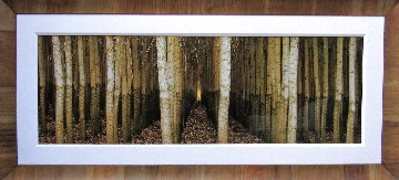 Endless Forest (Boardman, Oregon) 2M Huge Panorama - Peter Lik Endless Forest (Boardman, Oregon) 2M Huge Panorama - Peter Lik