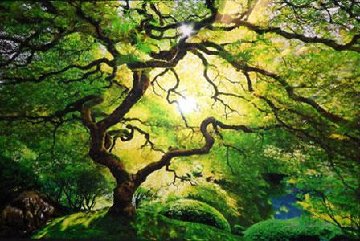 Inner Peace (Oregon) Panorama - Peter Lik Inner Peace (Oregon) Panorama - Peter Lik