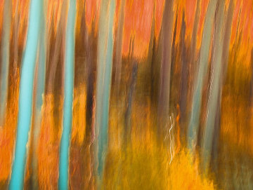Forever Panorama - Peter Lik Forever Panorama - Peter Lik