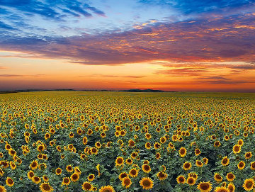 Summer Dreams 2M Super Huge Panorama - Peter Lik Summer Dreams 2M Super Huge Panorama - Peter Lik