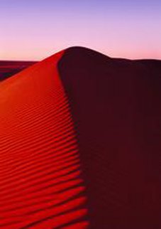 Dune Stairway (Simpson Desert, Northern Territory) Panorama - Peter Lik
