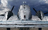 Twin Beech 1.5M Huge Panorama by Peter Lik - 0