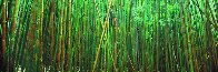 Bamboo (Pipiwai Trail Hana Hawaii) 2M  Huge Panorama by Peter Lik - 1